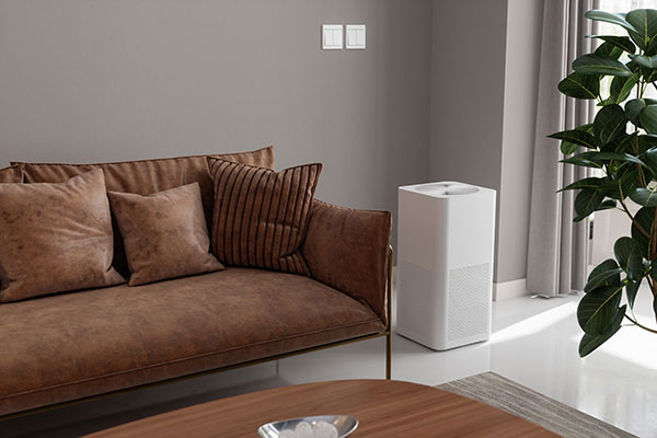 Air Purification System Installation Solutions